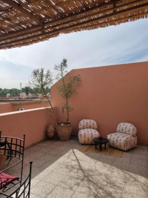 appartement avec grande terrasse
